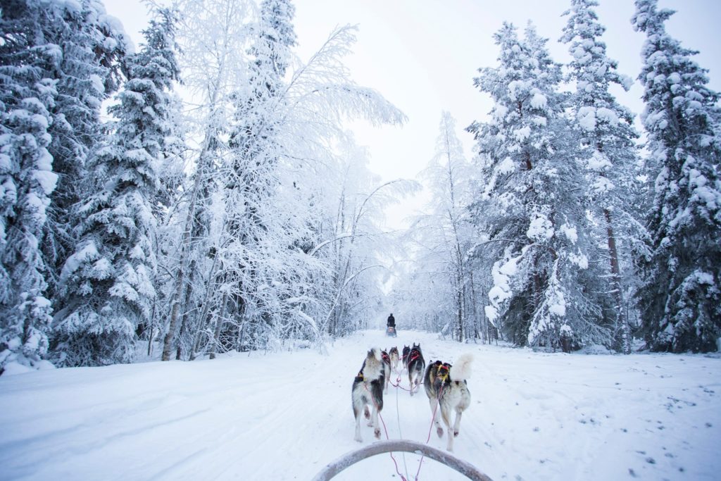 Rovaniemi: Ultimate 5 Days Itinerary with Northern Lights Tours - Em Knows Places