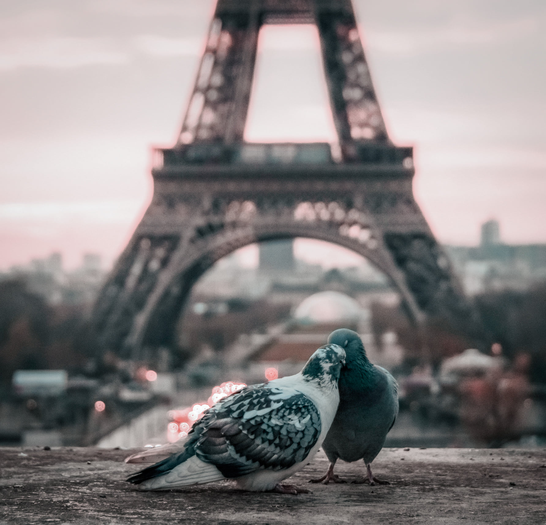 On Popular Demand - Em Knows Places